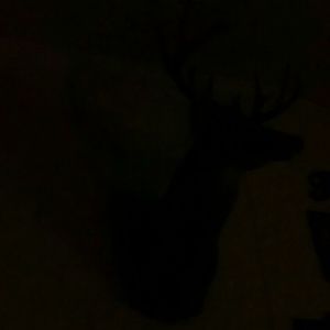 Meet your Posher, Brandy