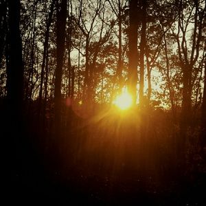 Meet your Posher, Billie