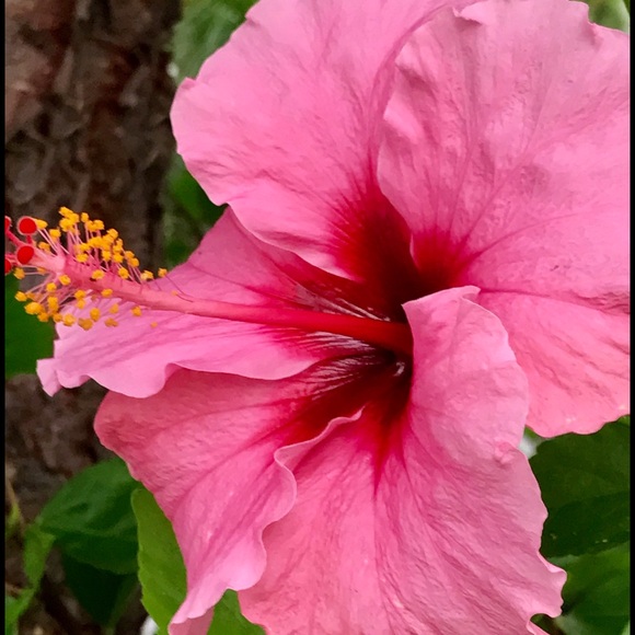 Welcome ๐๐๐ - Picture 1 of 1