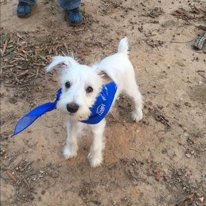 Meet your Posher, Sunshine