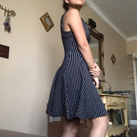 Zara Black and White Skater Sweater Dress