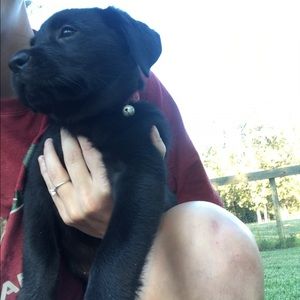 Meet your Posher, Alexx