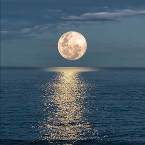 Meet your Posher, Fernando