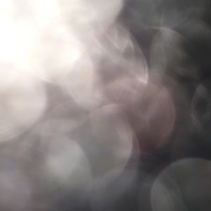 Meet your Posher, Cody