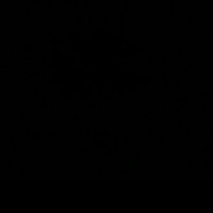 Meet your Posher, Sue