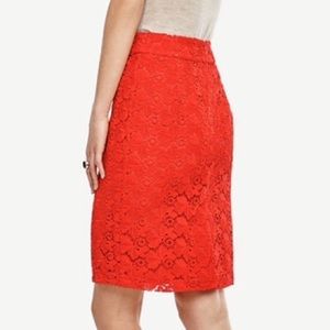 Ann taylor floral pencil skirt Clearance