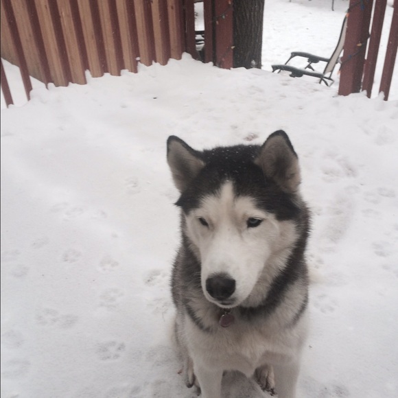 Meet your Posher, Keri