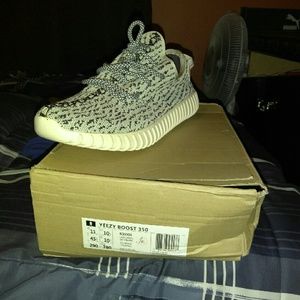 Yezzy adidas Tuttle dove