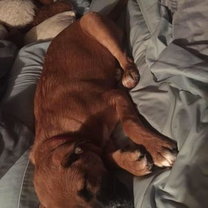 Meet your Posher, Candace