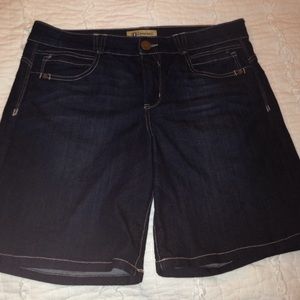 EUC Democracy "Ab"solution jean shorts, 14