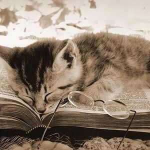 Meet your Posher, Caitlin