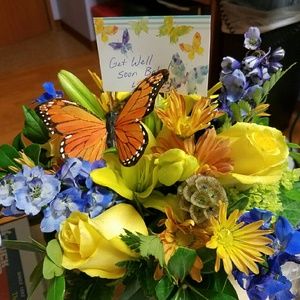 Meet your Posher, Kristie