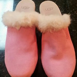 Ugg clogs