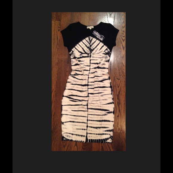 Olive & Oak hand tie dyed dress