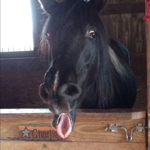 Meet your Posher, Dawn