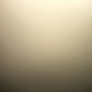 Meet your Posher, Devin