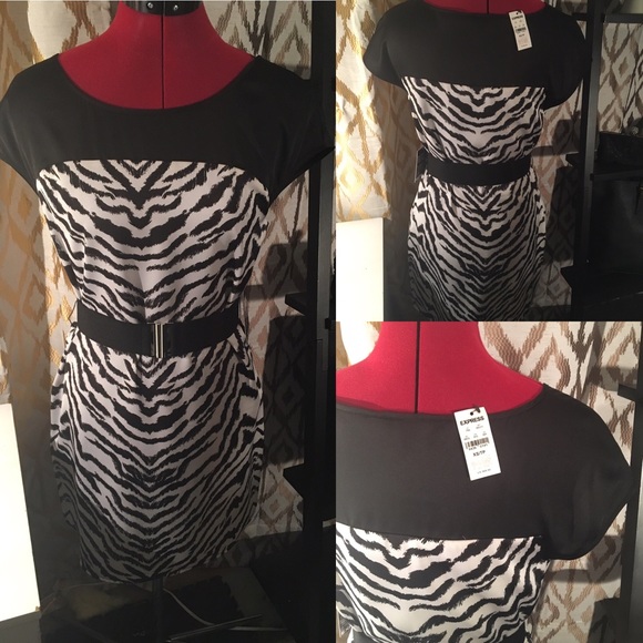 NWT Express Dress