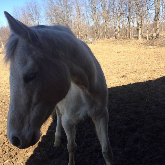 Meet your Posher, Jillian - Picture 1 of 1