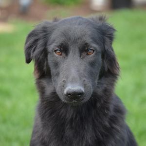 Meet your Posher, Nicholas