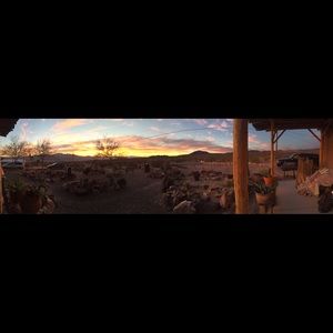 Meet your Posher, Malena