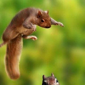 Meet your Posher, Jaden