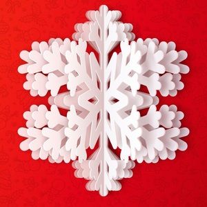 Meet your Posher, Maggie