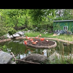 Meet your Posher, Nancy