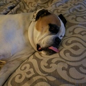 Meet your Posher, Tammy