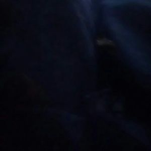 Meet your Posher, Diamond