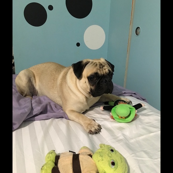 Meet your Posher, Jessica