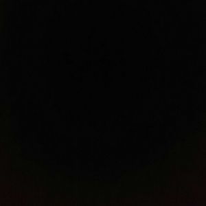 Meet your Posher, Travis