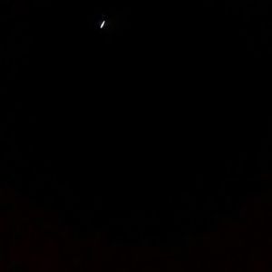 Meet your Posher, Melvin