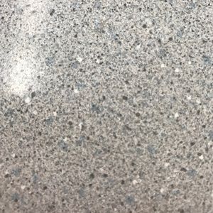 Meet your Posher, Randi