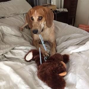 Meet your Posher, Kristie