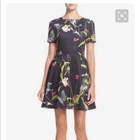 Ted Baker Dresses & Skirts - Ted Baker Dress