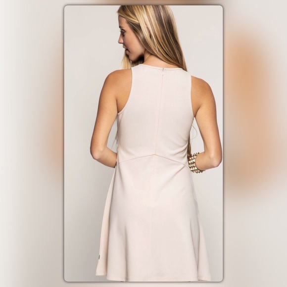 Taupe Sleeveless Contrast Fit and Flare Dress - Picture 3 of 4