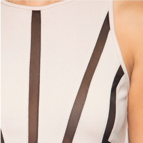 Taupe Sleeveless Contrast Fit and Flare Dress - Picture 4 of 4