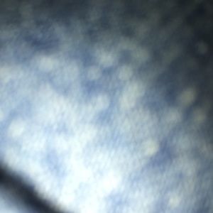 Meet your Posher, Josh