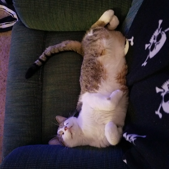 Meet your Posh Ambassador Beth! - Picture 6 of 8