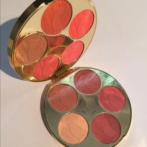 Tarte Holiday 2016 Blush Palette
