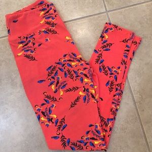Lularoe Bird Leggings