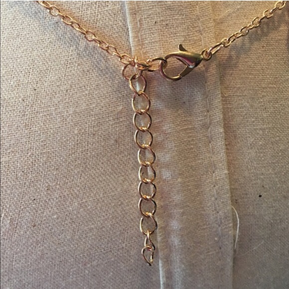 (L2) Feather Necklace - Picture 3 of 4