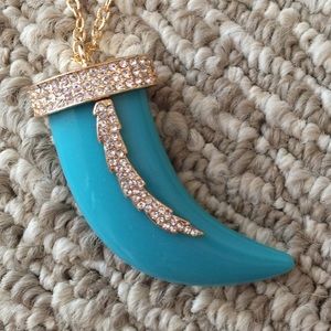 Turquoise Horn necklace