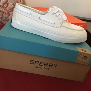 Paul Sperry