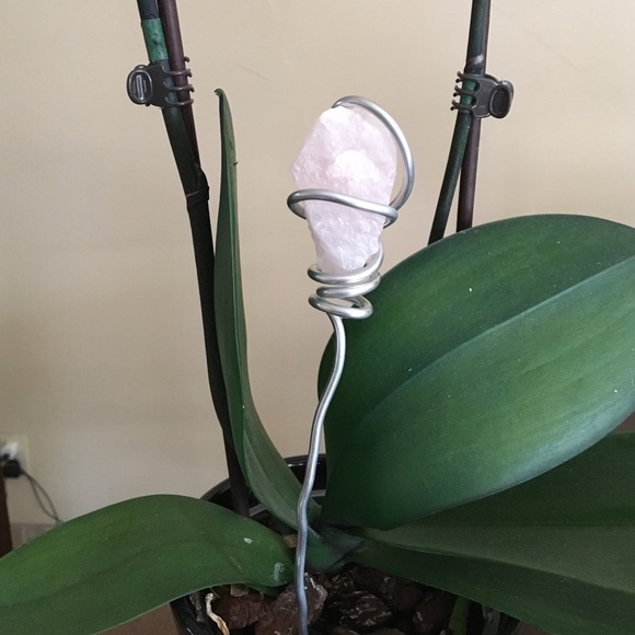 Rose Quartz Crystal Plant charm