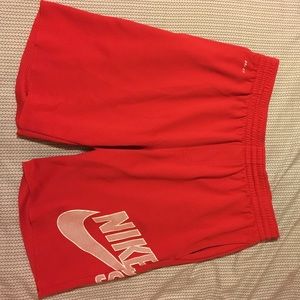 Nike SB dri-fit shorts