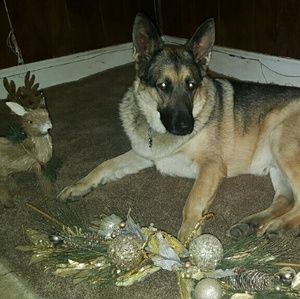 Meet your Posher, Nikki