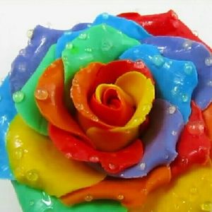 Meet your Posher, Joni