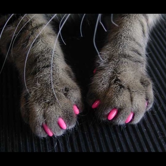 Meet your Posher, Tamara - Picture 1 of 1