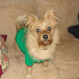 Meet your Posher, Brian